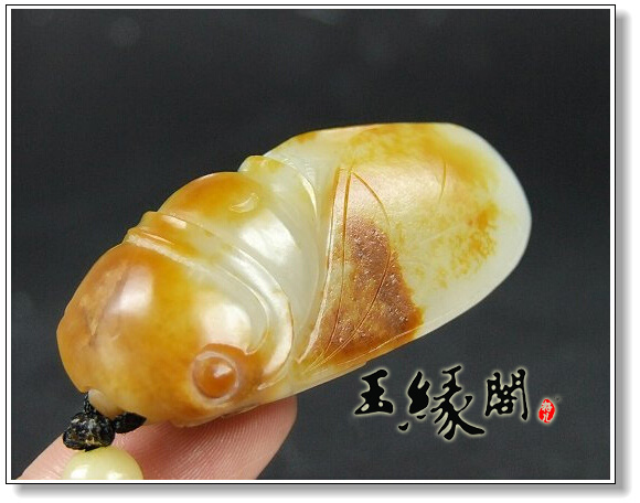 洒金皮籽 一鸣惊人挂件