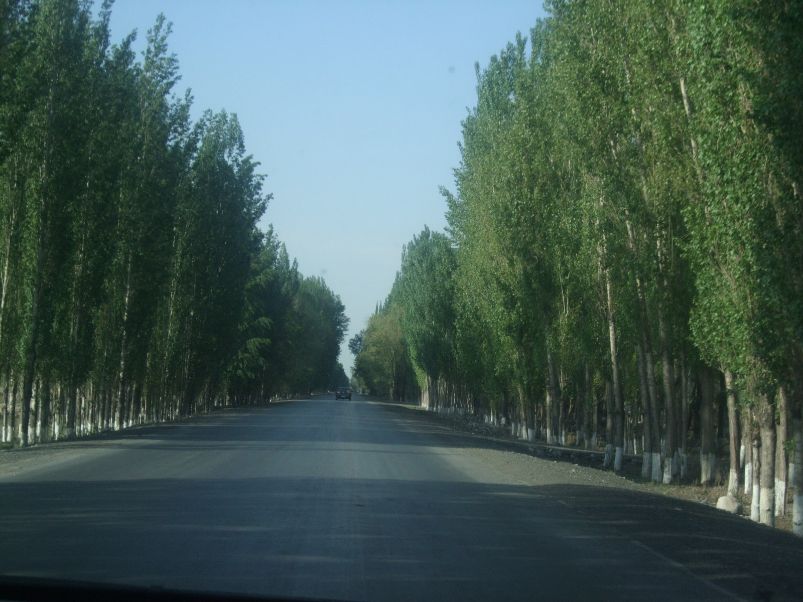 我们驱车从玛纳斯出发直上乡村公路
