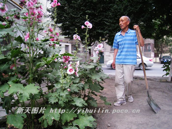 nEO_IMG_IMG_1077.jpg