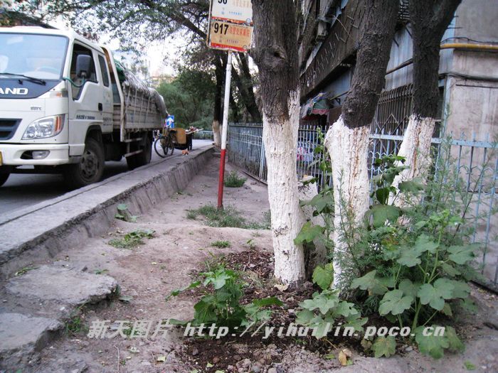 nEO_IMG_IMG_1096.jpg