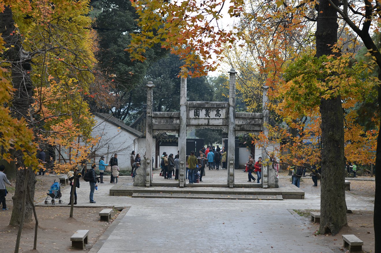 D4D_1903.JPG