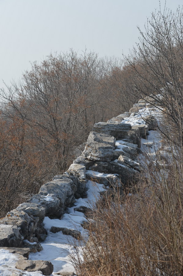 D4D_2470.JPG