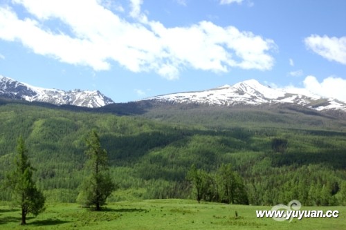 IMG_2370.jpg