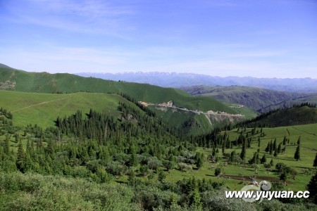 IMG_3267.jpg