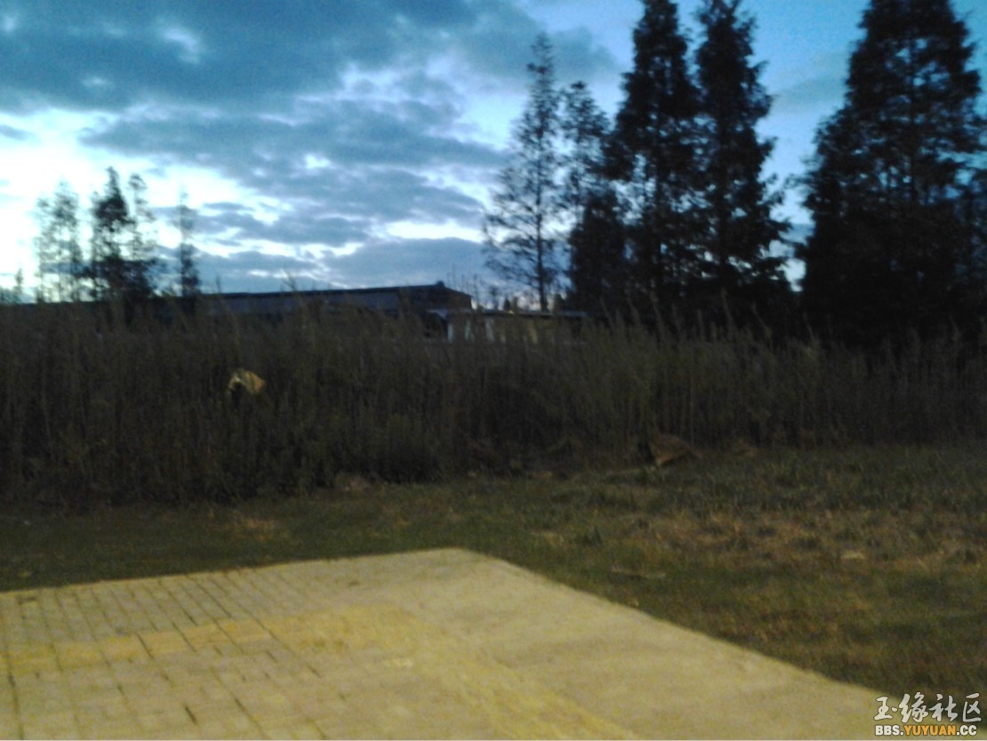 4.jpg
