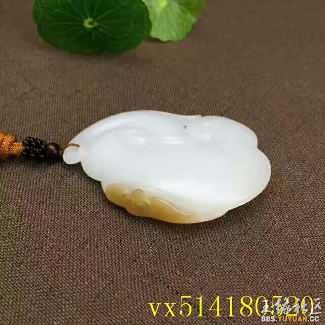 QQ图片20170806142707.jpg