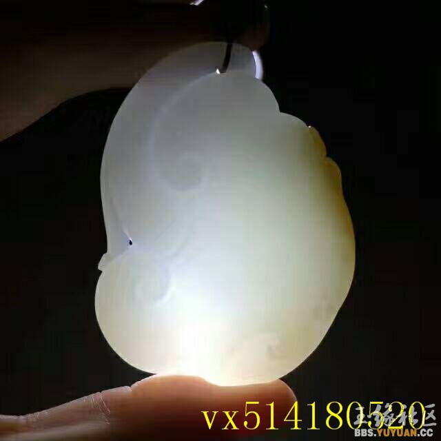 QQ图片20170806142716.jpg