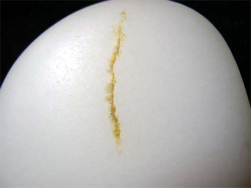 羊脂白玉籽料(120克)