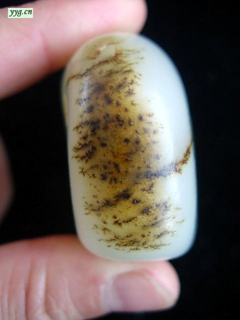 虎皮子料