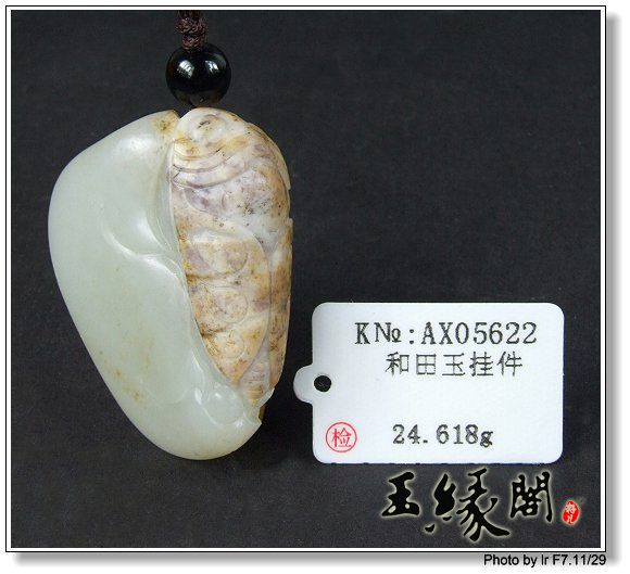 黄皮籽料挂件  一夜成名