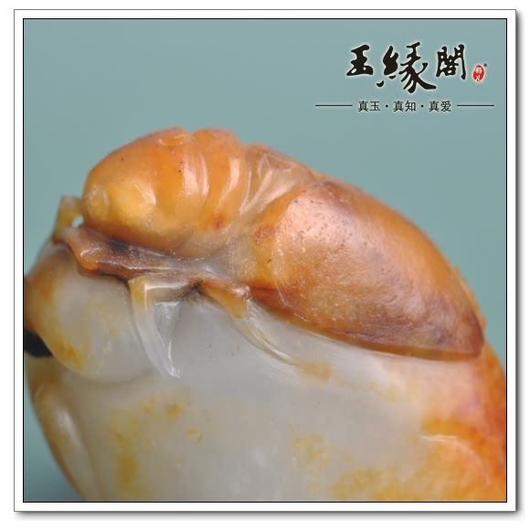 黄皮籽料挂件 一鸣惊人